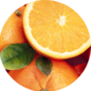 Citrus Protection Solution